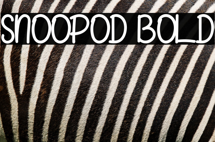 SNOOPOD Bold Example 3