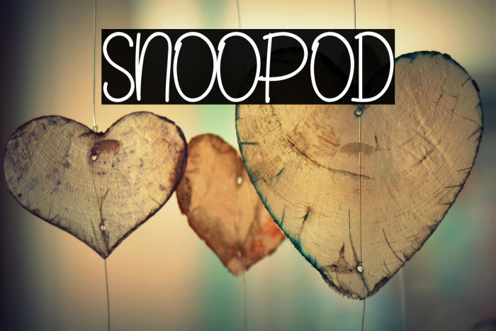 SNOOPOD Example 1