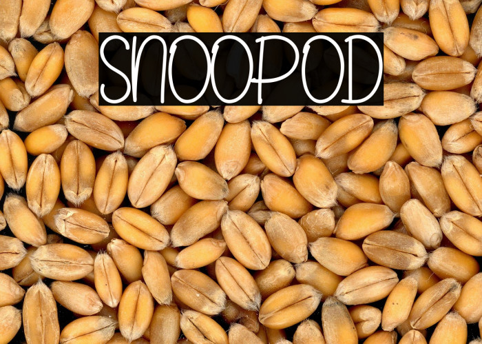 SNOOPOD Example 2