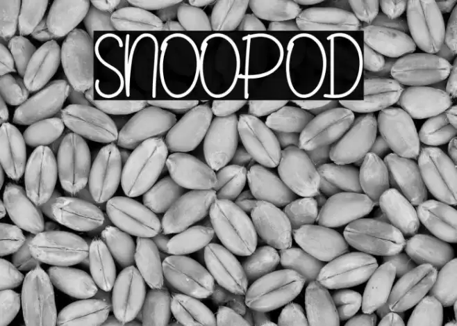 SNOOPOD Schriftart examples