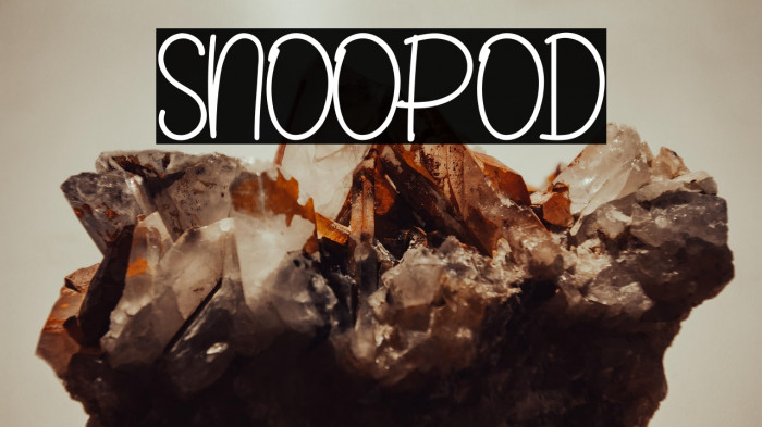 SNOOPOD Example 3