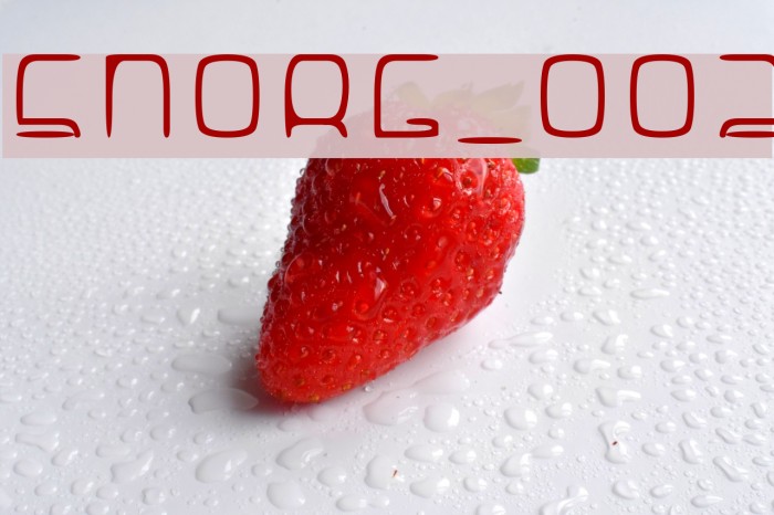 SNORG_002 Font examples