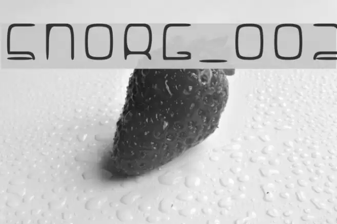 SNORG_002 Font examples