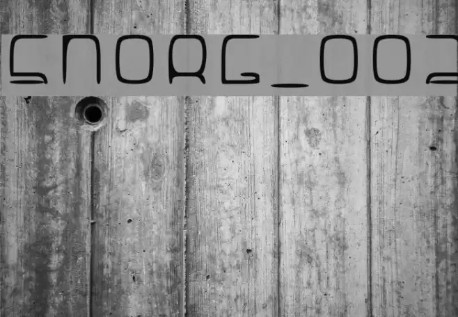 SNORG_002 Font examples