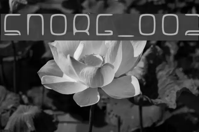 SNORG_002 Font examples