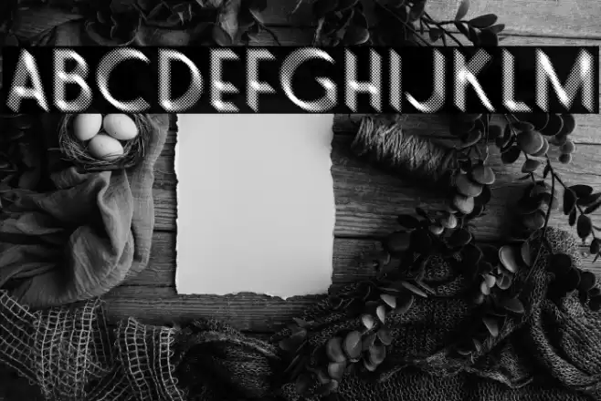 SNORTER PERSONAL USE Regular Font examples