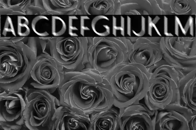 SNORTER PERSONAL USE Regular Font examples