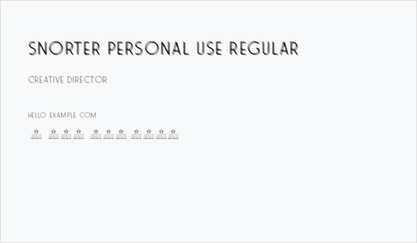 SNORTER PERSONAL USE Regular Business Card