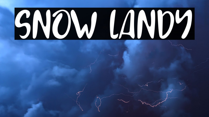 SNOW LANDY Example 1