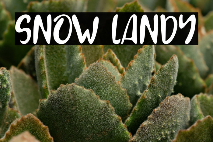 SNOW LANDY Example 2
