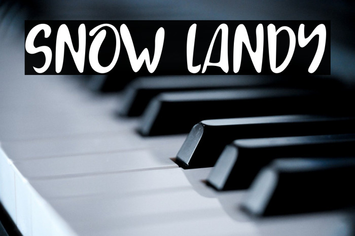 SNOW LANDY Example 3