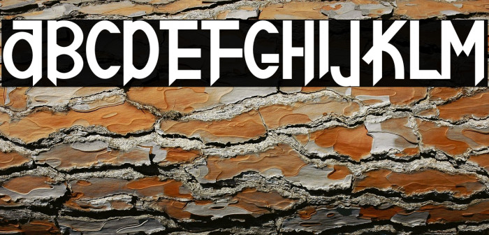 SNOW WOMAN Example 2