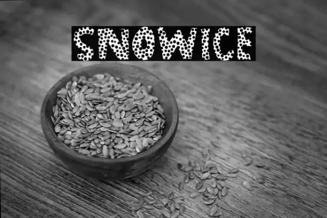 SNOWICE Font examples