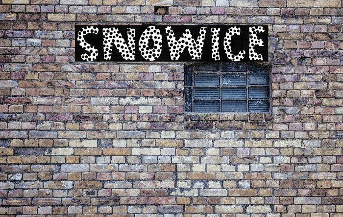 SNOWICE Example 2