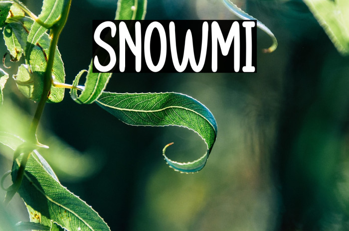 SNOWMI Example 1