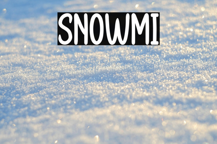 SNOWMI Example 2