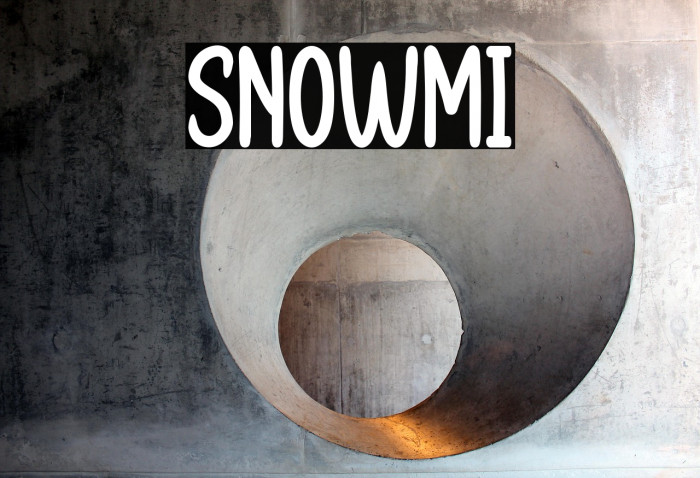 SNOWMI Example 3
