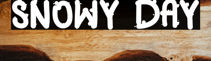 SNOWY DAY Example 1