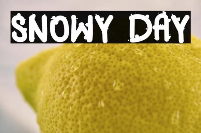 SNOWY DAY Example 2