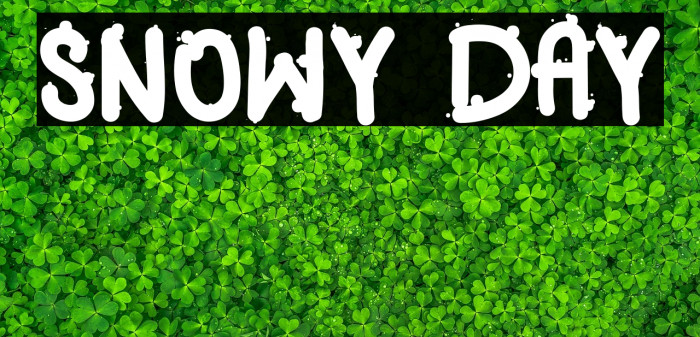 SNOWY DAY Example 3
