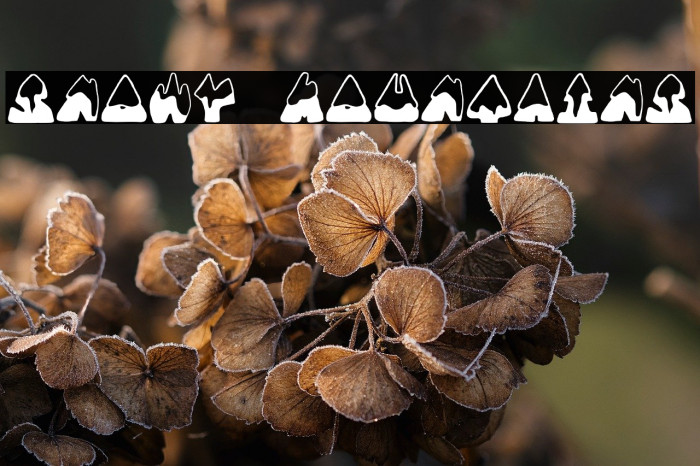 SNOWY MOUNTAINS Example 1