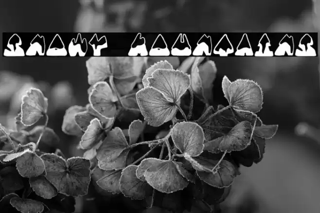 SNOWY MOUNTAINS Font examples