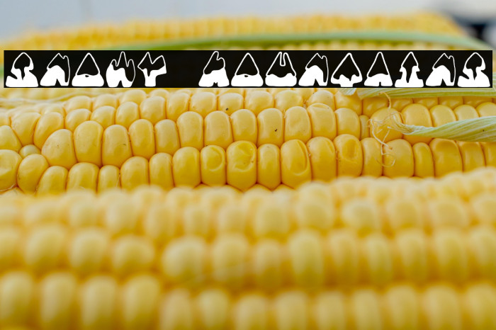 SNOWY MOUNTAINS Example 2