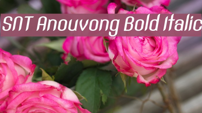 SNT Anouvong Bold Italic Font examples