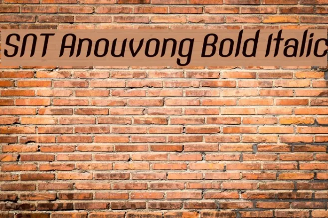 SNT Anouvong Bold Italic Example 2