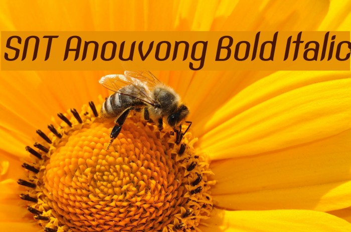 SNT Anouvong Bold Italic Font examples