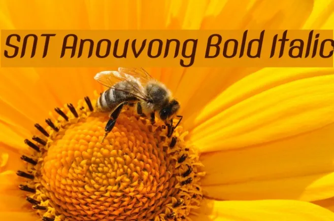 SNT Anouvong Bold Italic Example 3