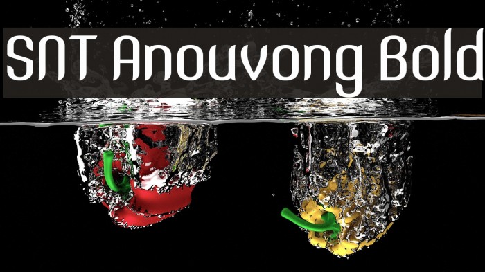SNT Anouvong Bold Example 1