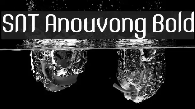 SNT Anouvong Bold Font examples