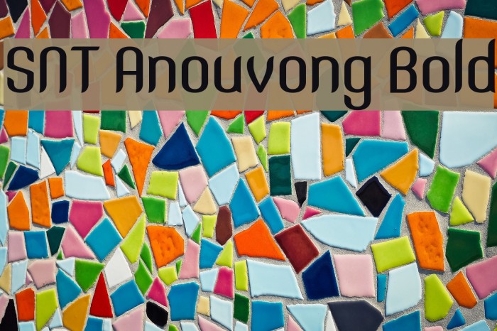 SNT Anouvong Bold Example 2