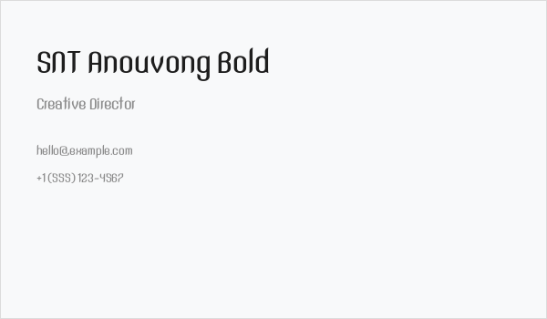 SNT Anouvong Bold Business Card