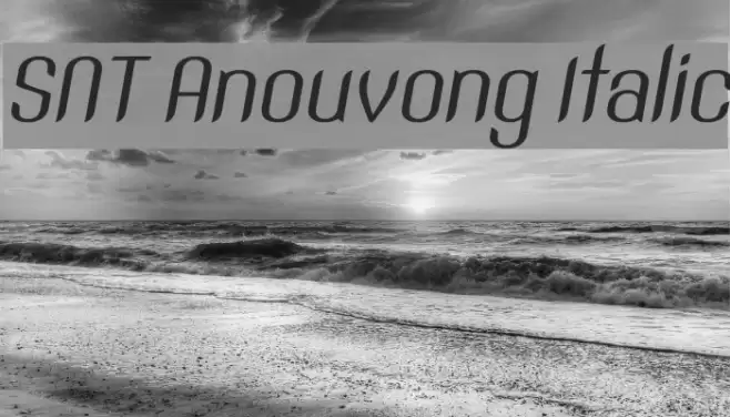 SNT Anouvong Italic Font examples