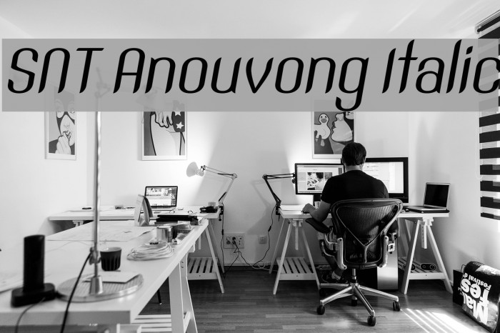 SNT Anouvong Italic Example 2