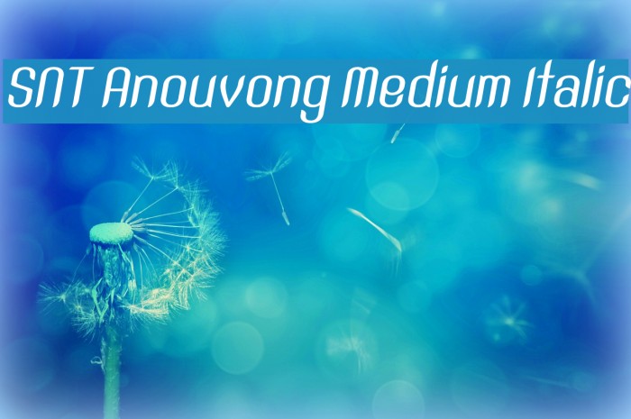 SNT Anouvong Medium Italic Font examples