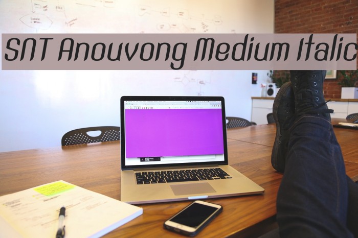SNT Anouvong Medium Italic Font examples