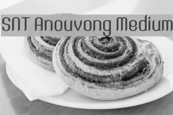 SNT Anouvong Medium Font examples