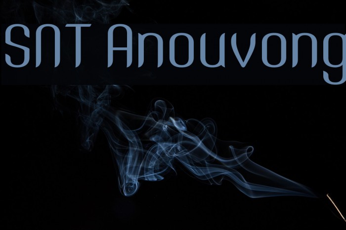 SNT Anouvong Font examples