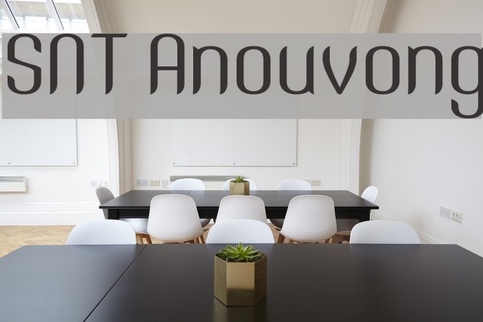 SNT Anouvong Font examples