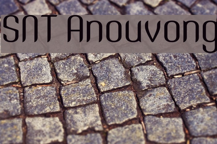 SNT Anouvong Font examples