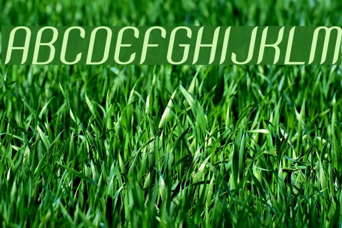 SNTAnouvong-Italic Font examples