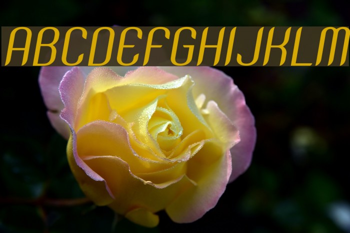 SNTAnouvong-Italic Font examples
