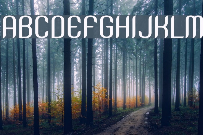 SNTAnouvong-Medium Font examples