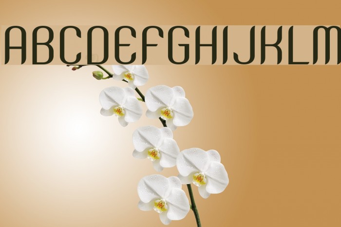 SNTAnouvong Font examples