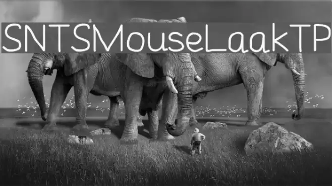 SNTSMouseLaakTP Font examples