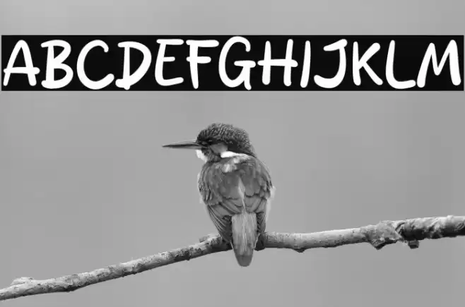 Snack Box Font examples