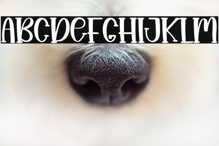 Snack Crispy Example 2